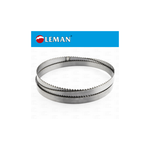 Saeleng Leman C75 4590X30X0.6 DC10