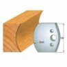 Profiili nuga profiil №.553-2 tk. 50x4 mm SP