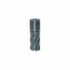 Kroonpuur SILVER-LINE 25 Weldon, Ø 33 mm