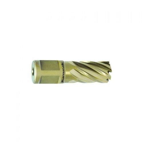 Kroonpuur GOLD-LINE 30 Weldon, Ø 22 mm