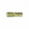 Kroonpuur GOLD-LINE 30 Weldon, Ø 44 mm