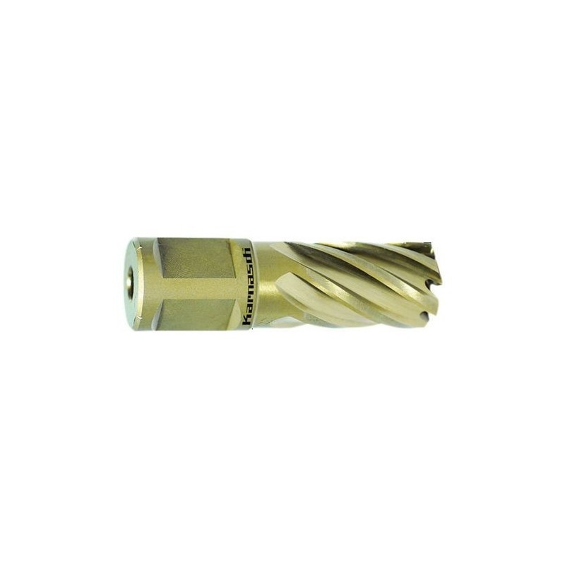 Kroonpuur GOLD-LINE 30 Weldon, Ø 54 mm