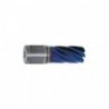 Kroonpuur BLUE-LINE 30 Weldon, Ø 50 mm