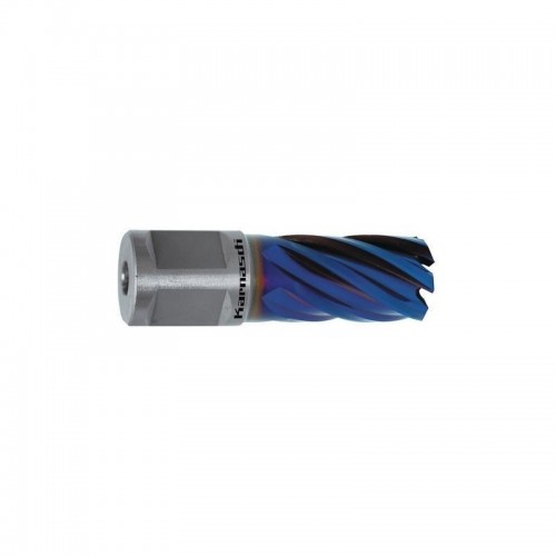 Kroonpuur BLUE-LINE 30 Weldon, Ø 45 mm