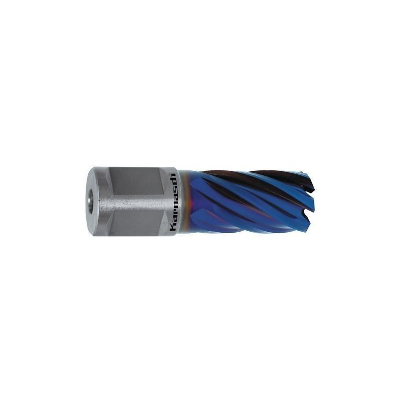 Kroonpuur BLUE-LINE 30 Weldon, Ø 45 mm