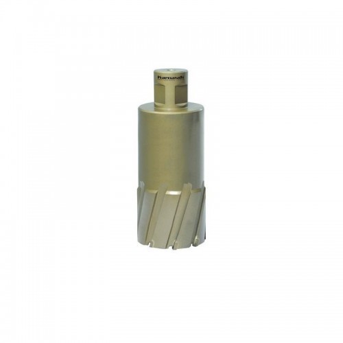 Kroonpuur HARD-LINE 55 Weldon Ø 80 mm