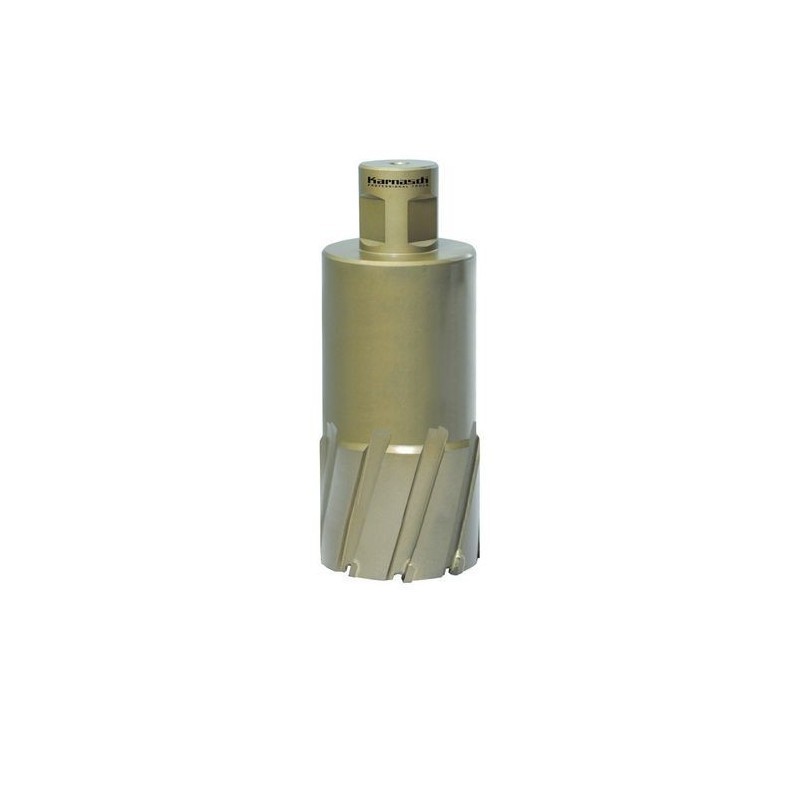 Kroonpuur HARD-LINE 55 Weldon Ø 90 mm