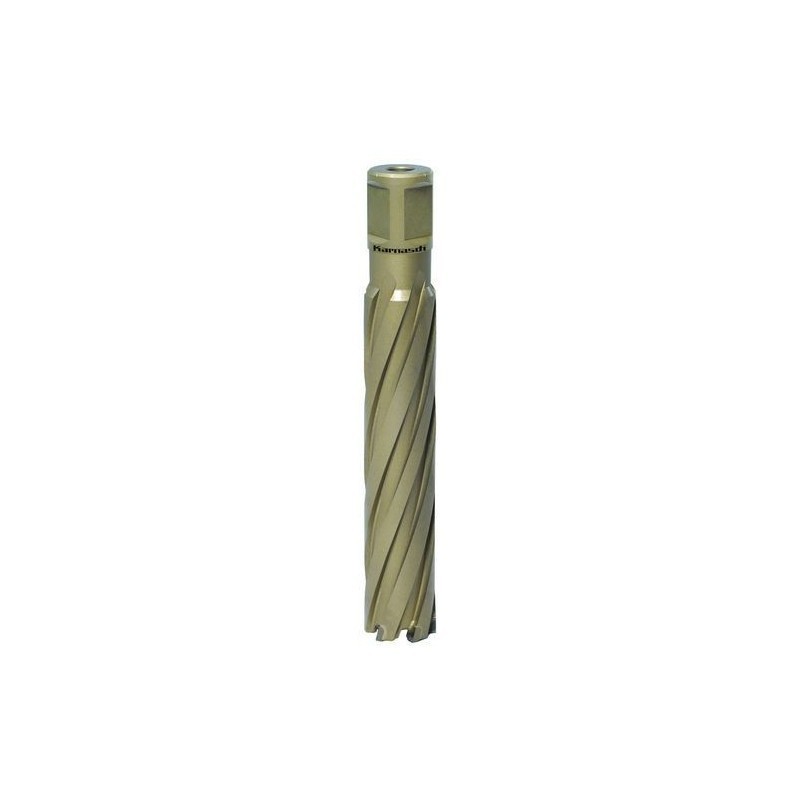 Kroonpuur HARD-LINE 110 Weldon Ø 21 mm