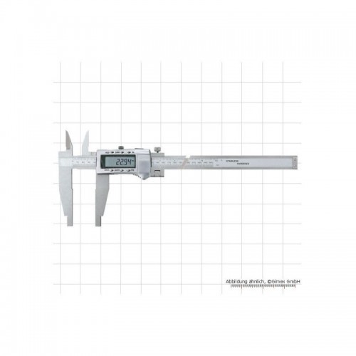 Digitaalne nihik 300 x 100 mm