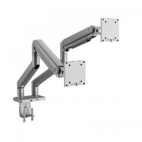 Terasest kahe monitori alus Jake, hall