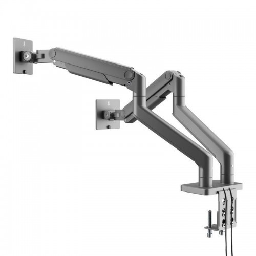 Terasest kahe monitori alus Jake, hall