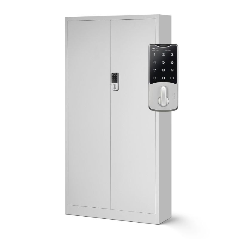 Metallist dokumendikapp Daniel, 900 x 1850 x 400 mm, hall